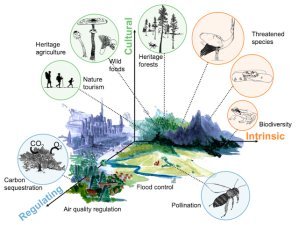 Axis 4 : Integrative predictions of biodiversity, ecosystem functioning and nature's contributions to people