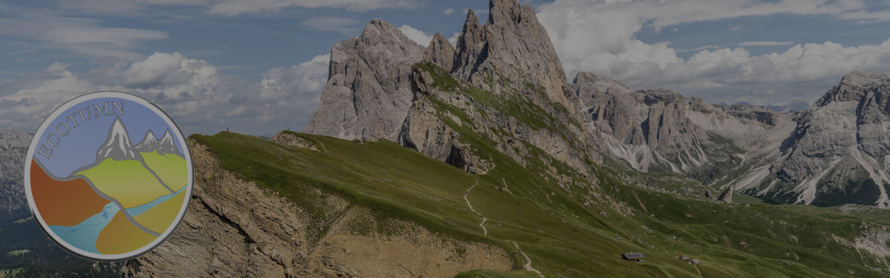 "Exploring the Legacy and Future of Mountain Biodiversity"