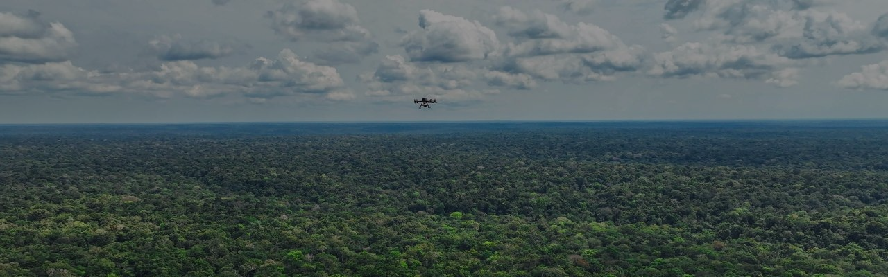 Résultats du concours XPRIZE Rainforest