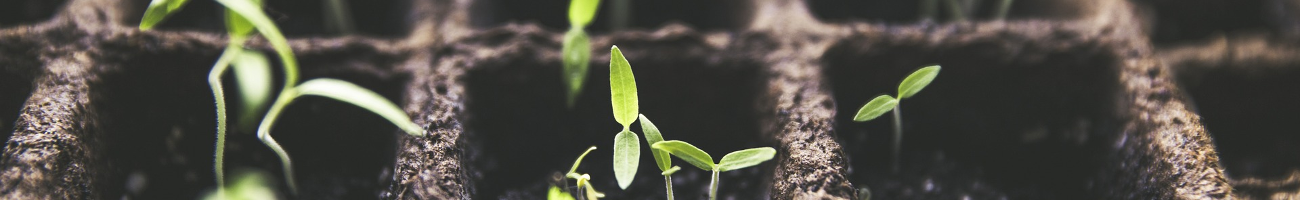 Ecologie Expérimentale et de Terrain