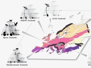 Axe 1 : Dépendances spatiales et temporelles entre l'environnement, la biodiversité, le fonctionnement des écosystèmes et les contributions de la nature aux sociétés