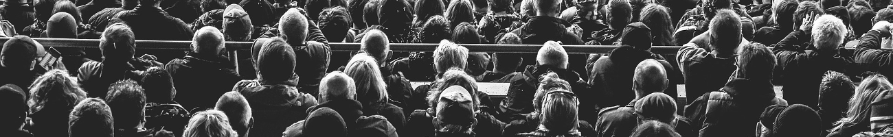 Researchers / Professors